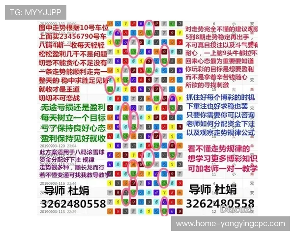 幸运飞艇玩法详解及技巧分享轻松掌握投注技巧提高赢率