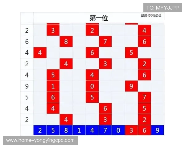 彩票实时开奖数据查询平台最新趋势与号码分析大全