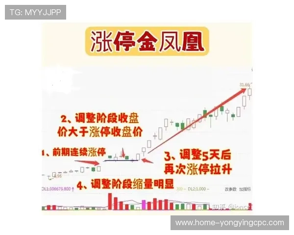 探索十一选五投注技巧 提高选号精准度 实现稳健盈利的策略与方法