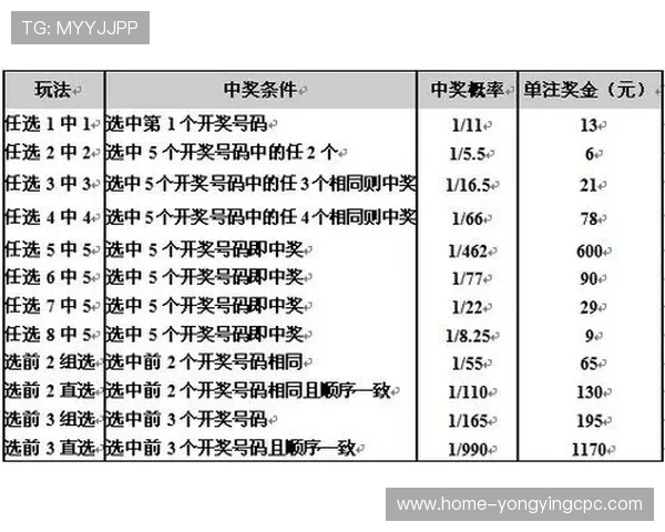 掌握11选5选号技巧提高中奖概率的实用方法解析