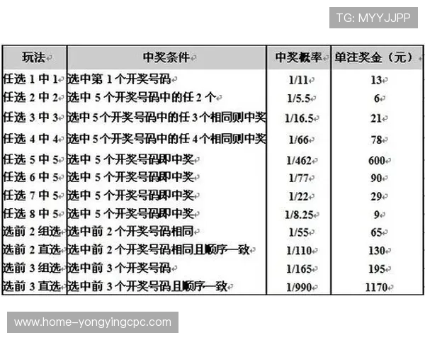 掌握十一选五投注技巧提升中奖概率的实用攻略